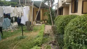 1bdrm House in Mikocheni for rent