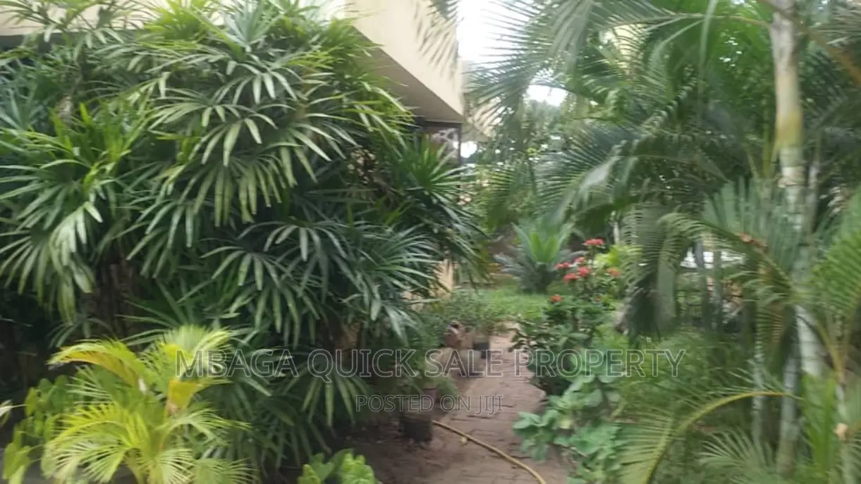 1bdrm House in Mikocheni for rent
