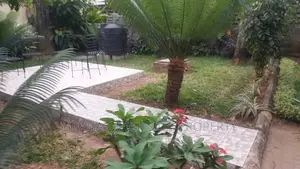 1bdrm House in Mikocheni for rent
