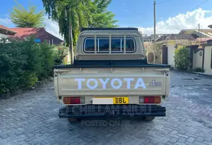 Toyota Land Cruiser 2009 Brown