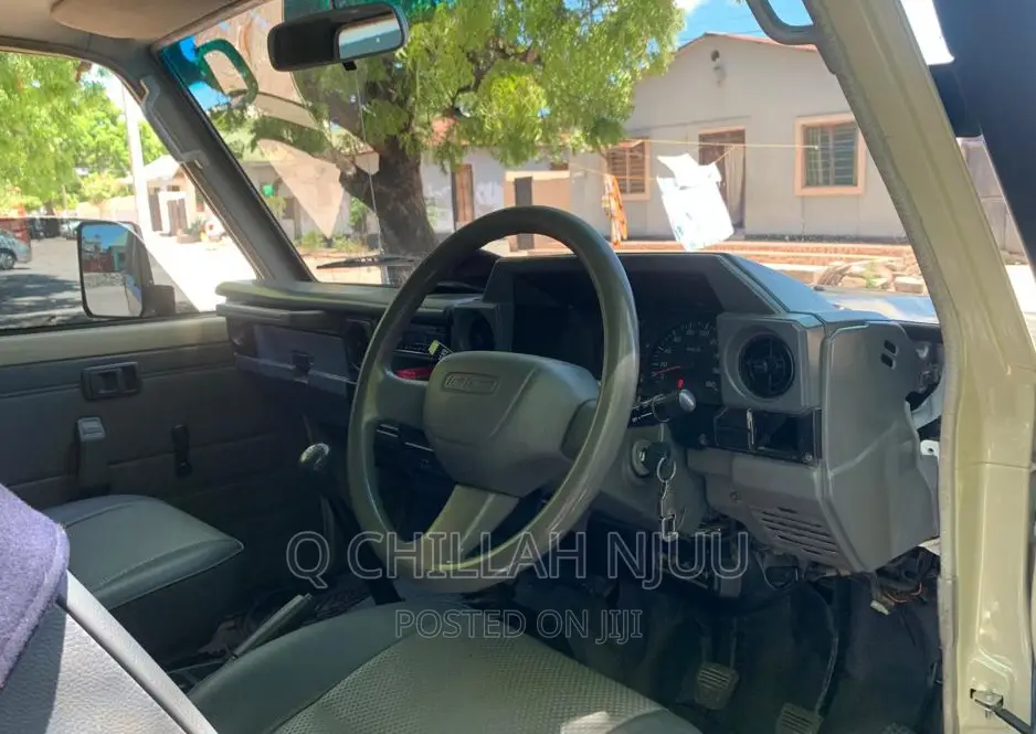 Toyota Land Cruiser 2009 Brown