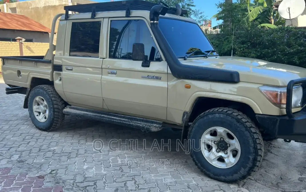 Toyota Land Cruiser 2009 Brown