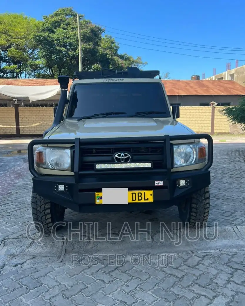 Toyota Land Cruiser 2009 Brown