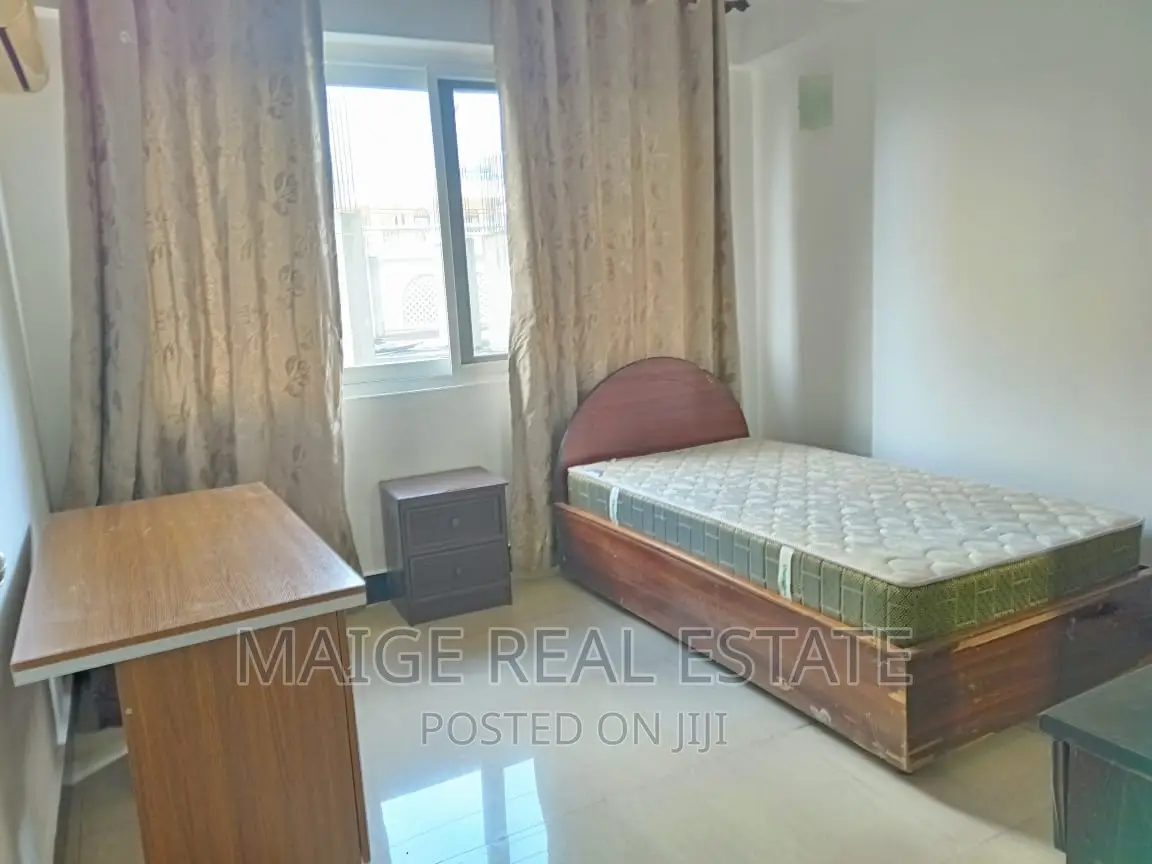 Furnished 3bdrm Apartment in Upanga East for rent