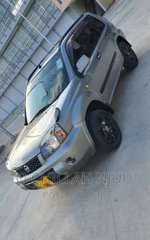 Nissan X-Trail 2003 Gray