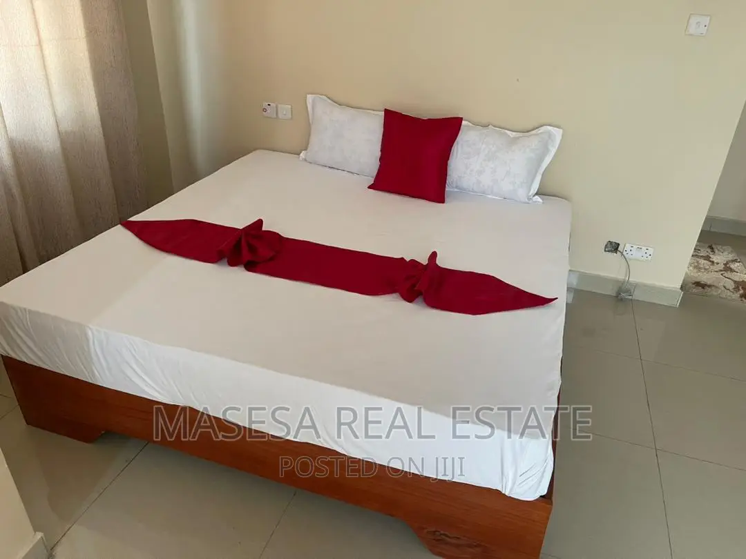 Furnished 3bdrm Apartment in Kariakoo for rent