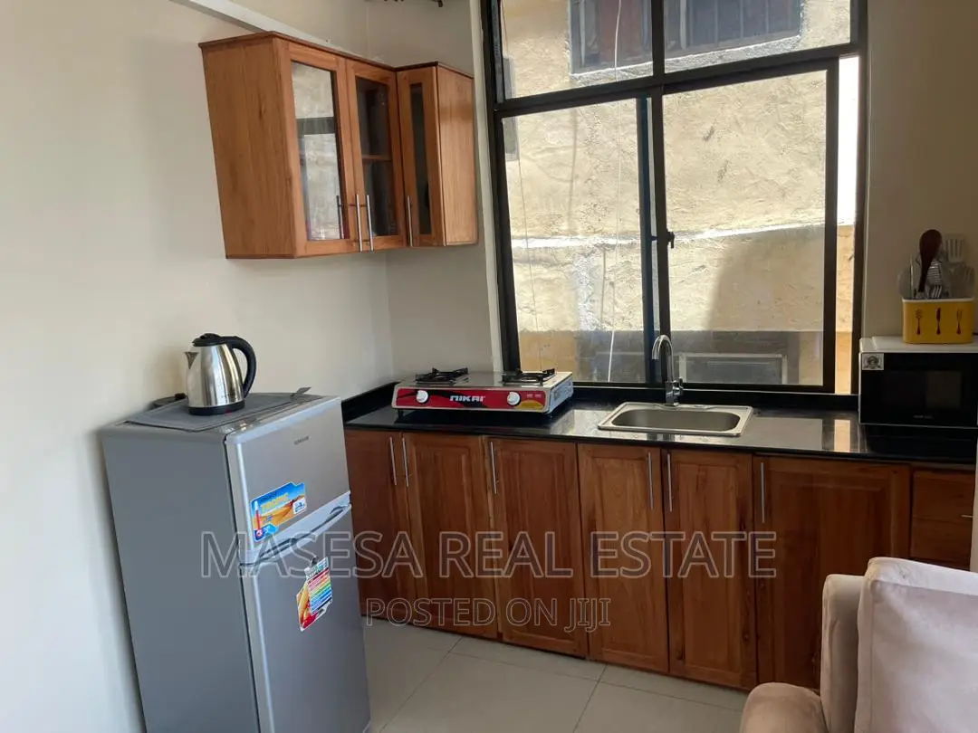 Furnished 3bdrm Apartment in Kariakoo for rent