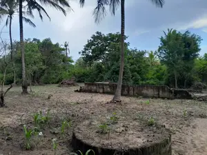Farm for Sale at Visiga Madafu 