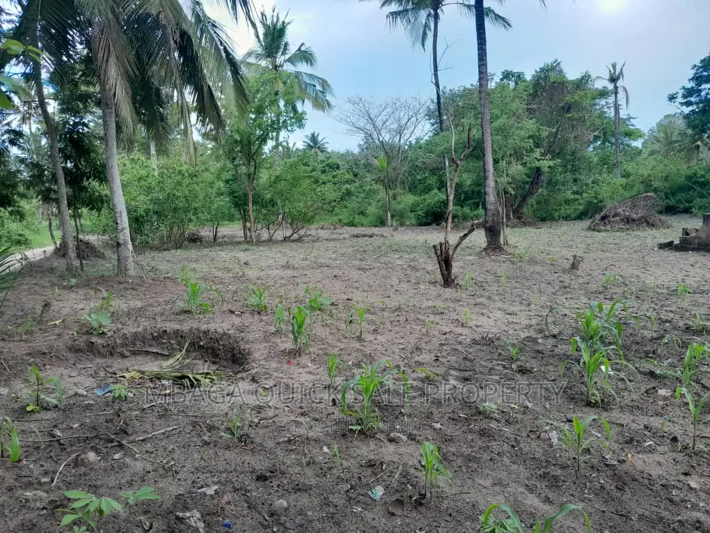 Farm for Sale at Visiga Madafu 