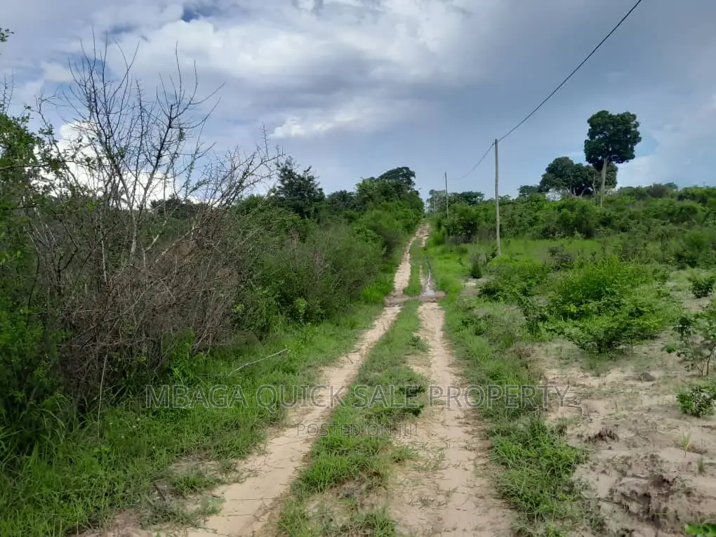 Farm for Sale at Visiga Madafu 