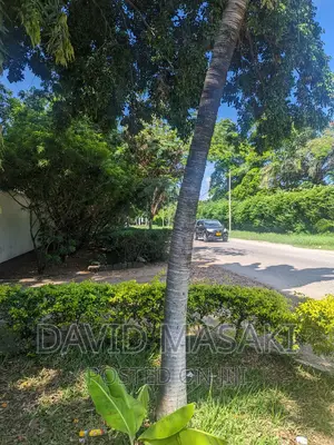 Plot for Sale in Masaki 1800 Sq M