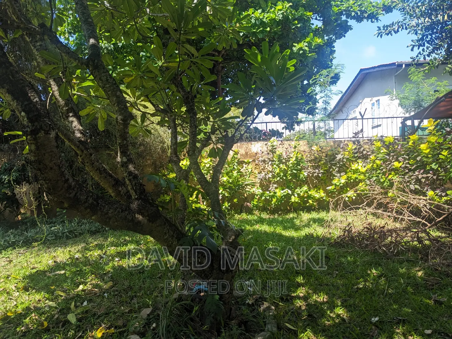 Plot for Sale in Masaki 1800 Sq M