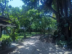 Plot for Sale in Masaki 1800 Sq M