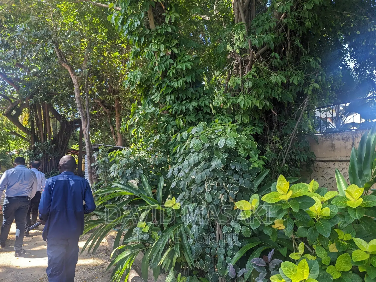 Plot for Sale in Masaki 1800 Sq M
