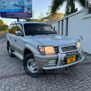 Toyota Land Cruiser Prado 3.0 D-4D 2003 Silver