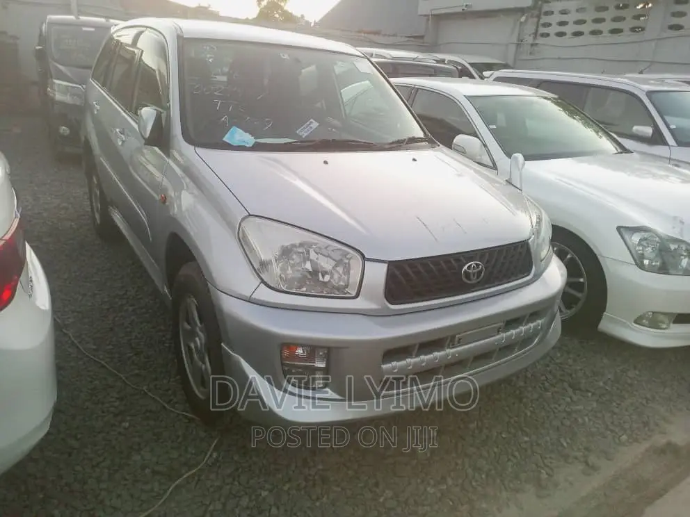 Toyota RAV4 Automatic 2002 Silver