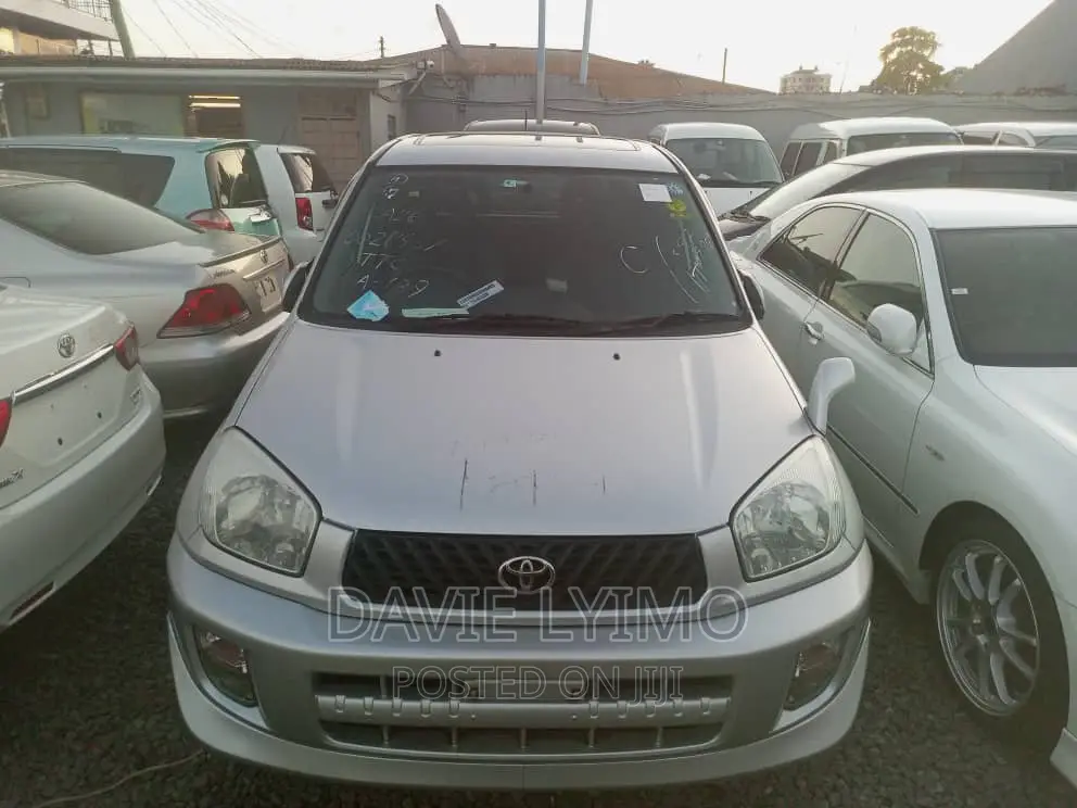 Toyota RAV4 Automatic 2002 Silver