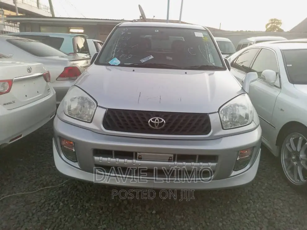 Toyota RAV4 Automatic 2002 Silver