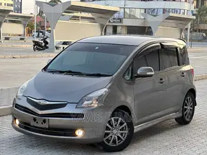 Toyota Ractis 2006 Gray