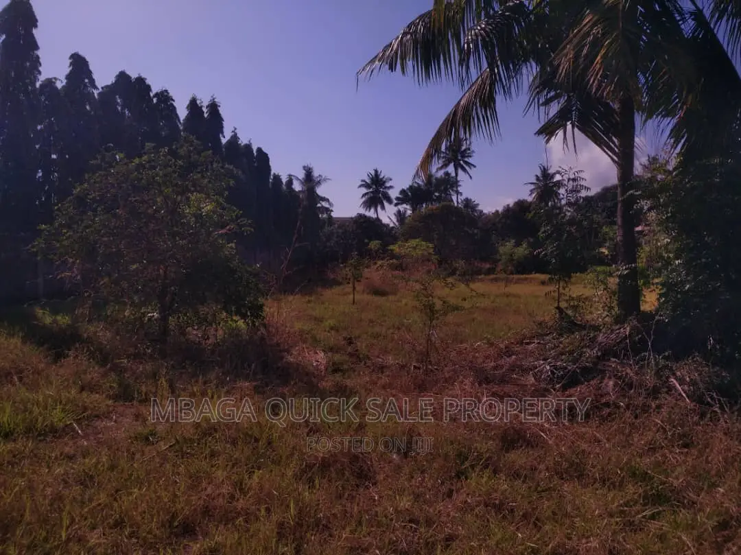 1bdrm House in Mbezi for rent