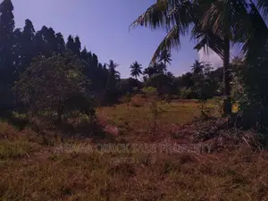 1bdrm House in Mbezi for rent