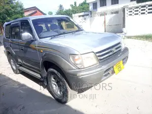 Toyota Land Cruiser Prado 2003 Silver