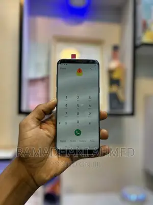 Samsung Galaxy S8 Plus 64 GB Silver