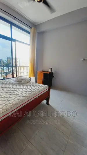 Furnished Mini Flat in Sinza Kijiweni for rent