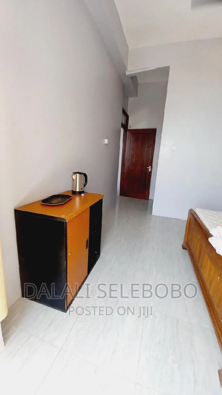 Furnished Mini Flat in Sinza Kijiweni for rent