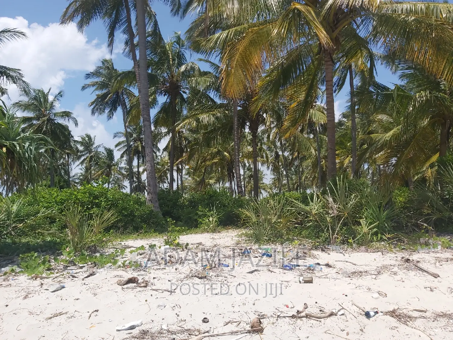 Beach Plotes for Sale Mkwaja Tanga