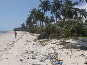 Beach Plotes for Sale Mkwaja Tanga