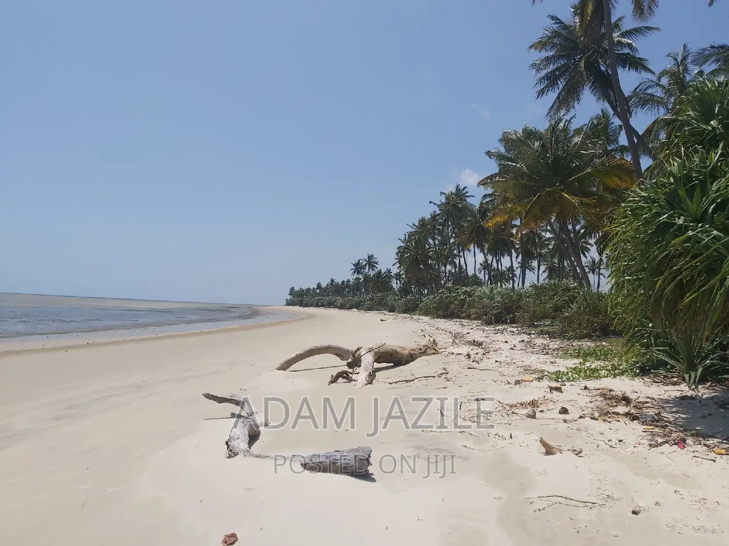 Beach Plotes for Sale Mkwaja Tanga