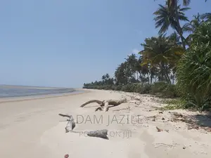 Beach Plotes for Sale Mkwaja Tanga