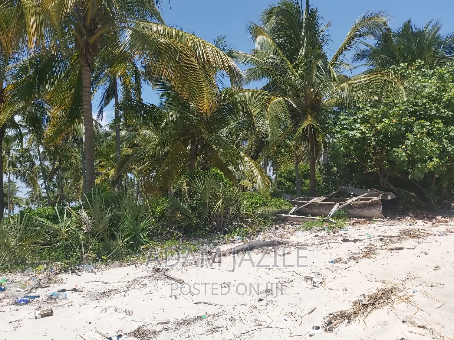 Beach Plotes for Sale Mkwaja Tanga