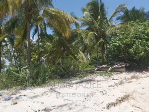 Beach Plotes for Sale Mkwaja Tanga