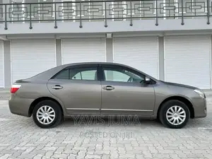 Toyota Premio 2009 Gray
