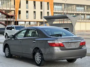 Toyota Premio 2009 Gray
