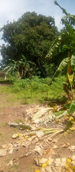 Kiwanja Kinauzwa Miswe -Mlandizi