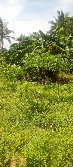 Kiwanja Kinauzwa Miswe -Mlandizi