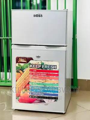 Lita 100 Boss Clean Sana