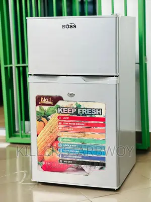 Lita 100 Boss Clean Sana