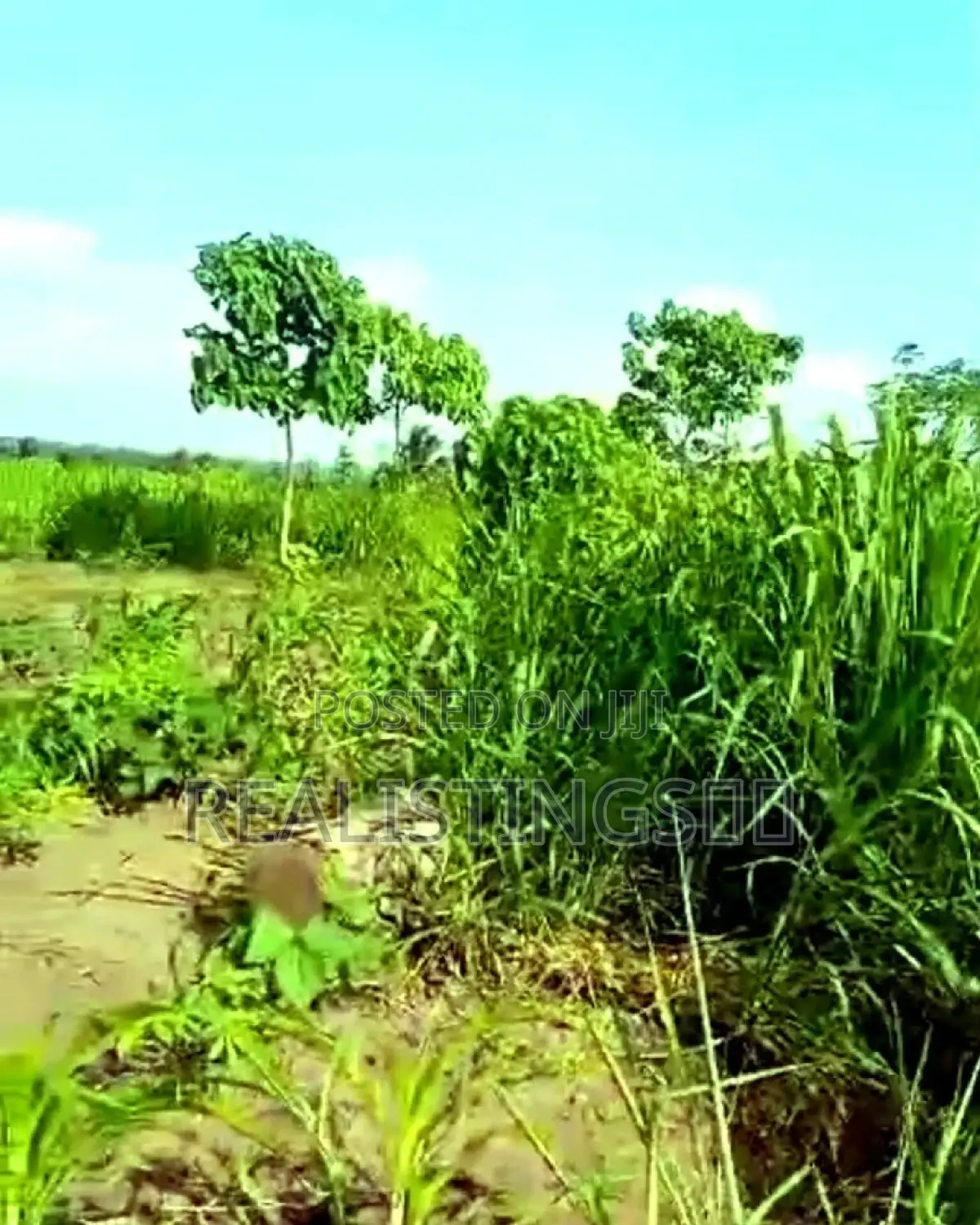 Mkuranga Industrial Area: 5.4 Acres Land for Sale - Pwani