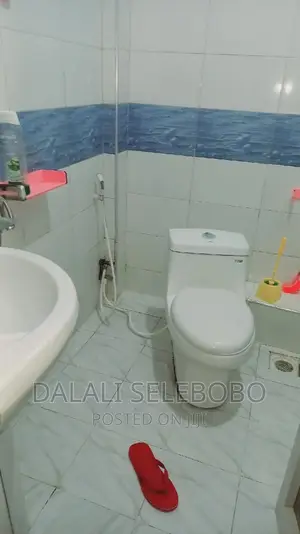 Furnished Mini Flat in Makumbusho, Kinondoni for rent