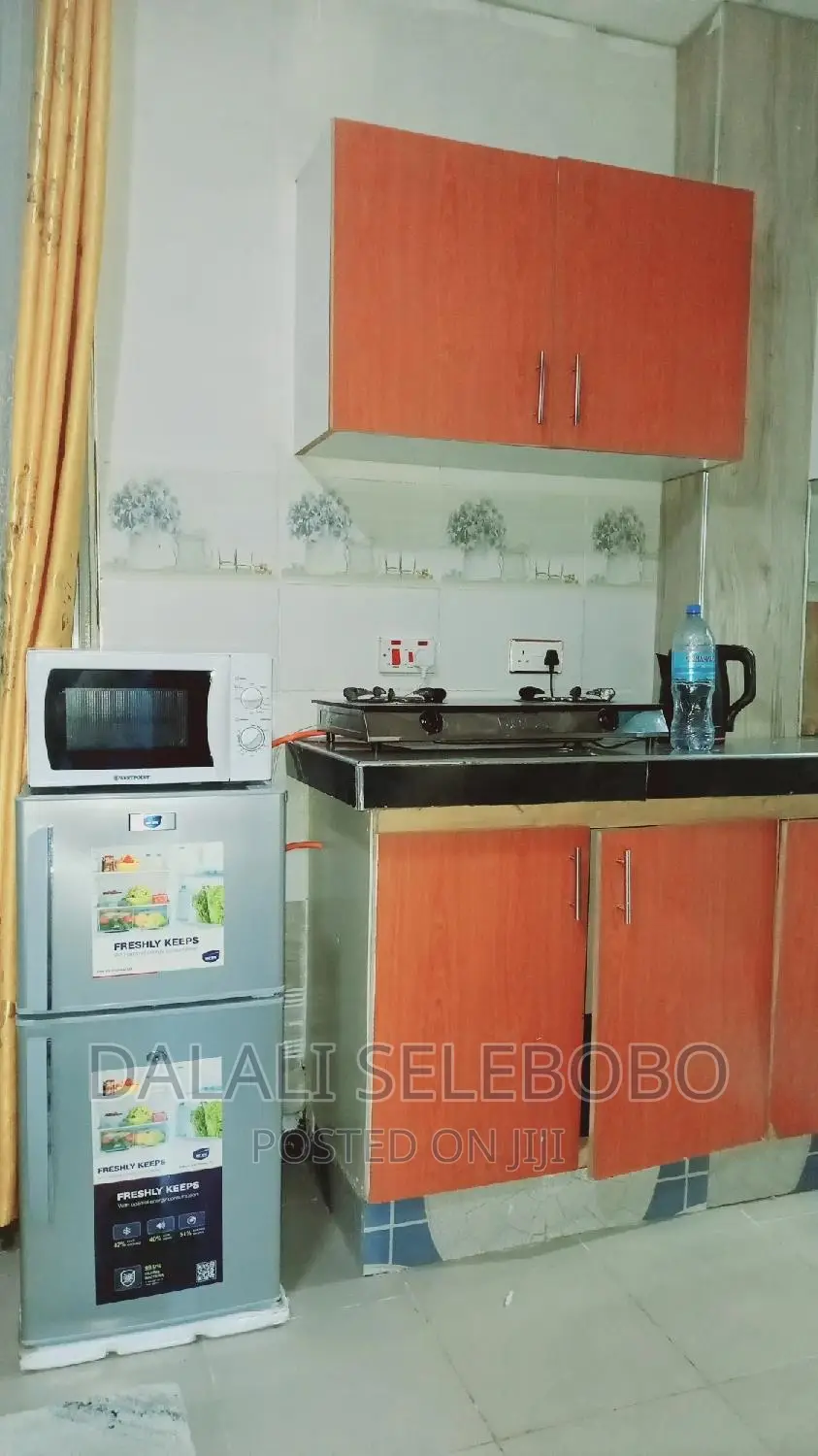 Furnished Mini Flat in Makumbusho, Kinondoni for rent