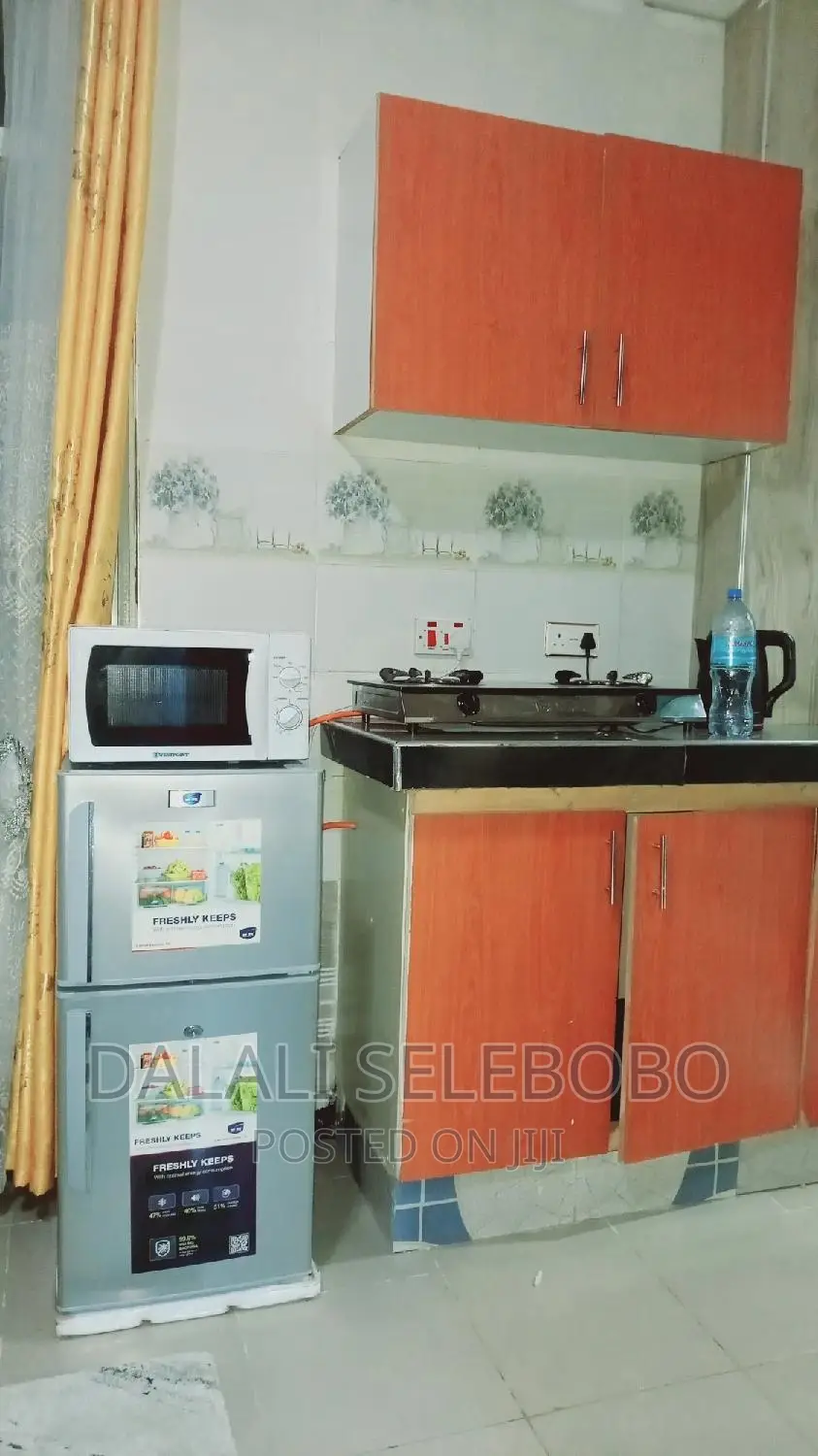 Furnished Mini Flat in Makumbusho, Kinondoni for rent