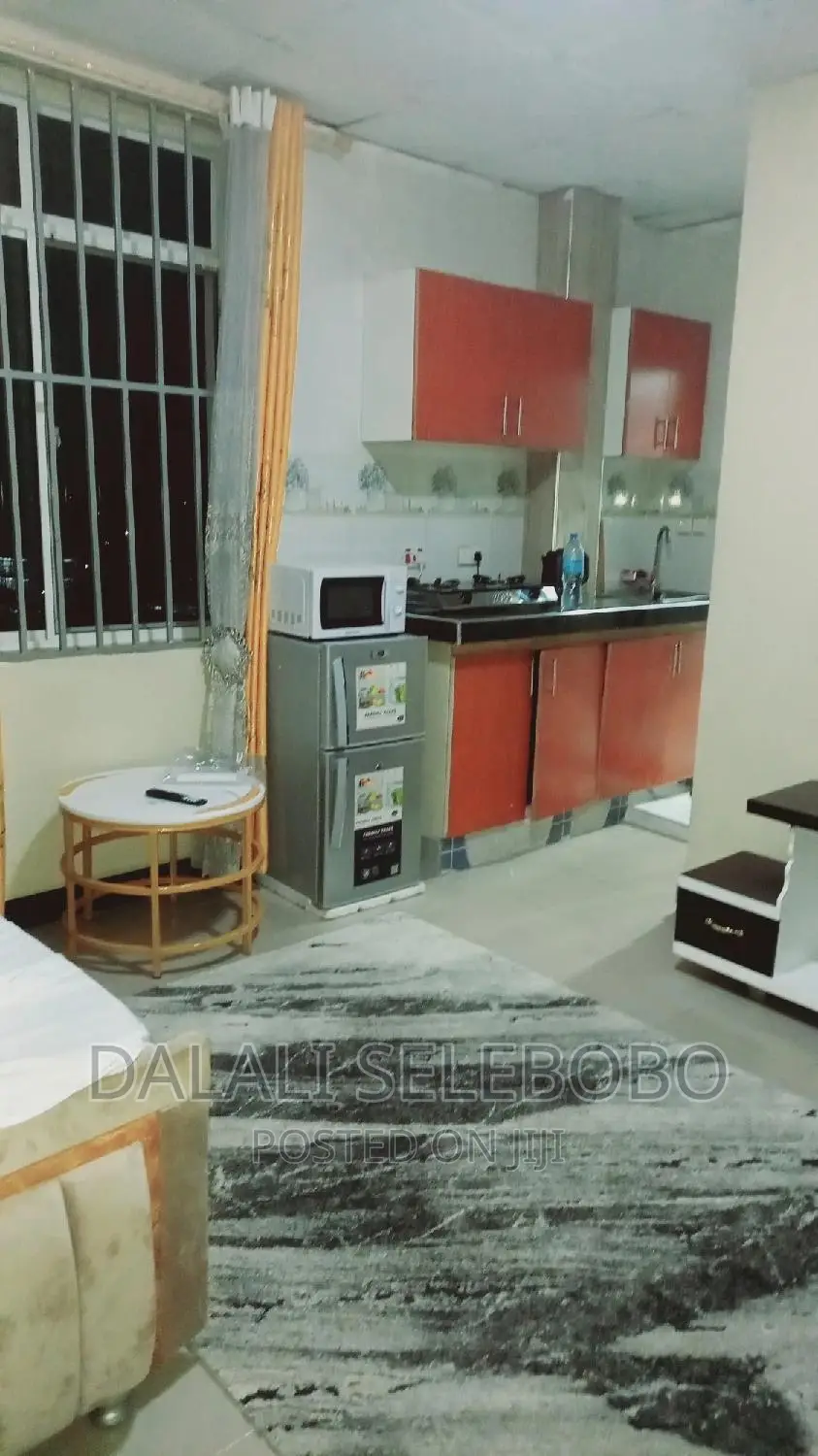 Furnished Mini Flat in Makumbusho, Kinondoni for rent