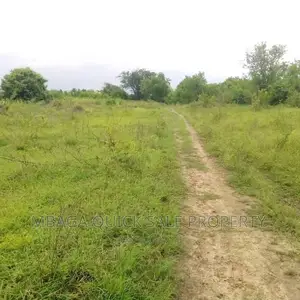 Farm for Sale at Kiwangwa