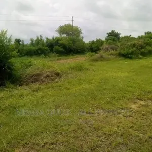 Shamba Kubwa Lenye Heka 50 Linauzwa Kiwangwa
