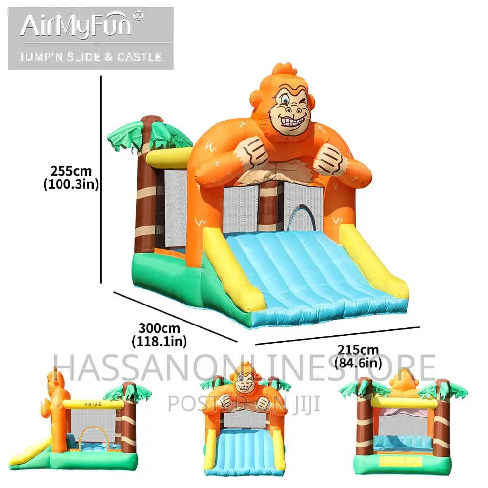 Inflatables Water Slides for Kids