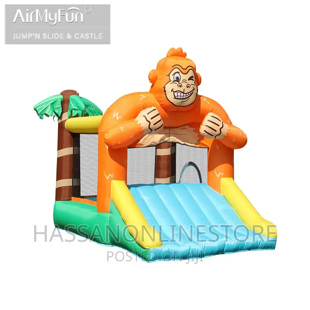 Inflatables Water Slides for Kids